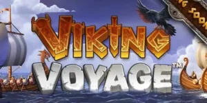 Viking-Voyage